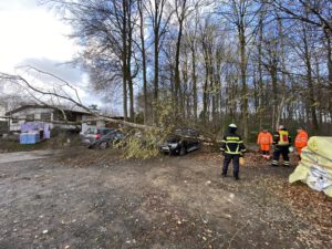 Baum auf PKW 17.02.2022