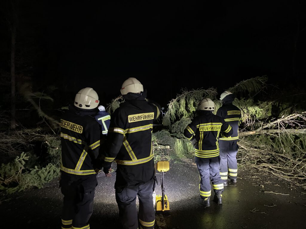 Mehrere umgestürzte Bäume 1 umgestürzter Baum, Unwetter 17.02.2022, Vettelschoß, Feuerwehr