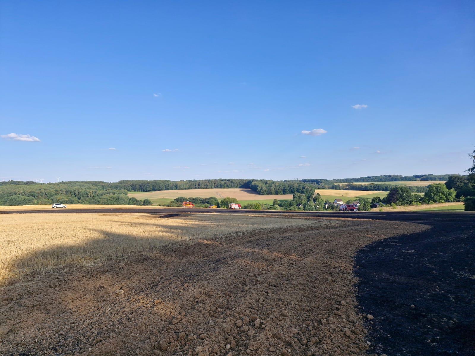 Vegetationsbrand groß (Überörtlich) 8 34e08cb9 c48c 4d0c 8639 c713e0b1dc02