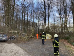 Baum auf PKW 17.02.2022