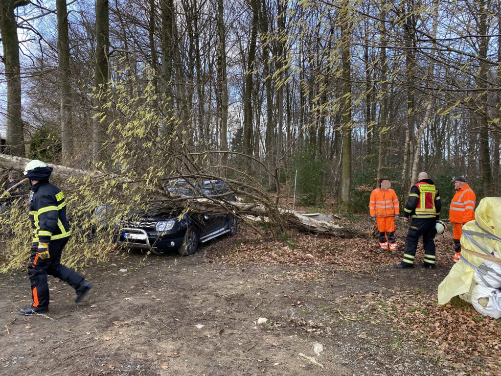 Baum auf PKW 9 Baum auf PKW 17.02.2022