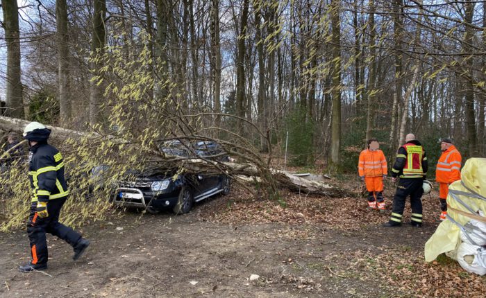 Baum auf PKW 17.02.2022