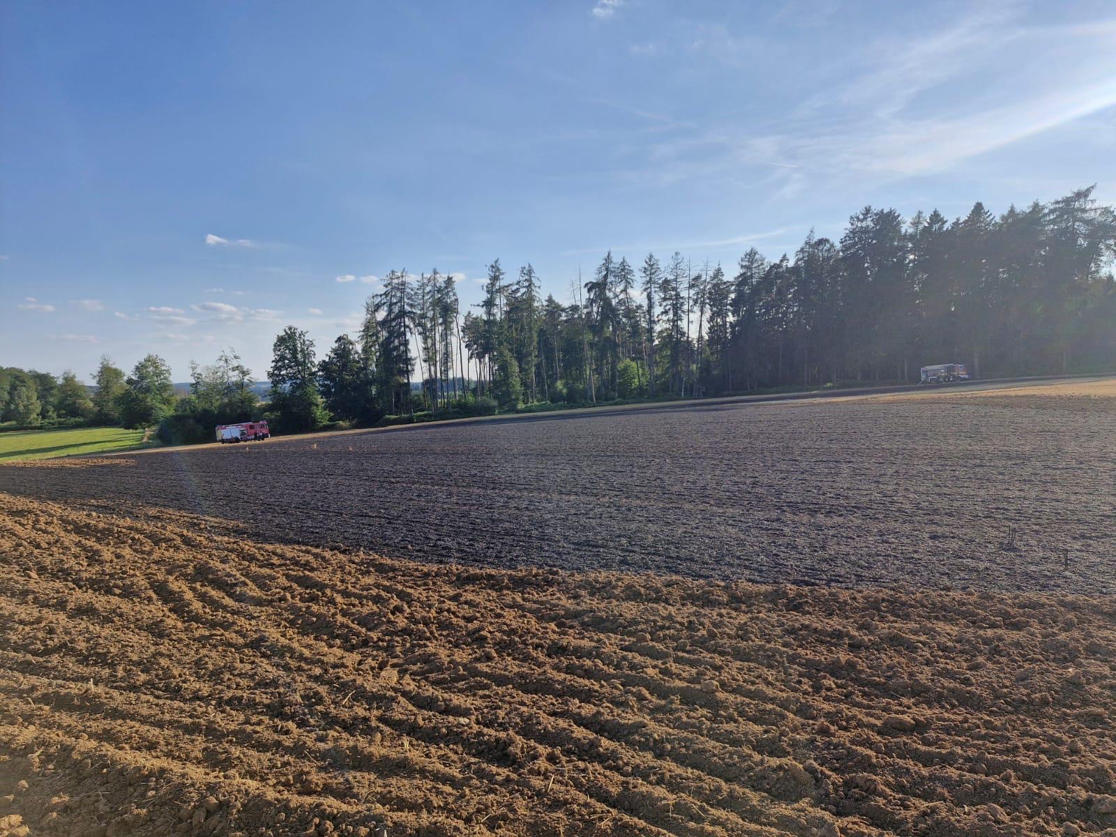 Vegetationsbrand groß (Überörtlich) 9 5618c8f5 636e 4fae 8a7c 5a45dd1ccc39