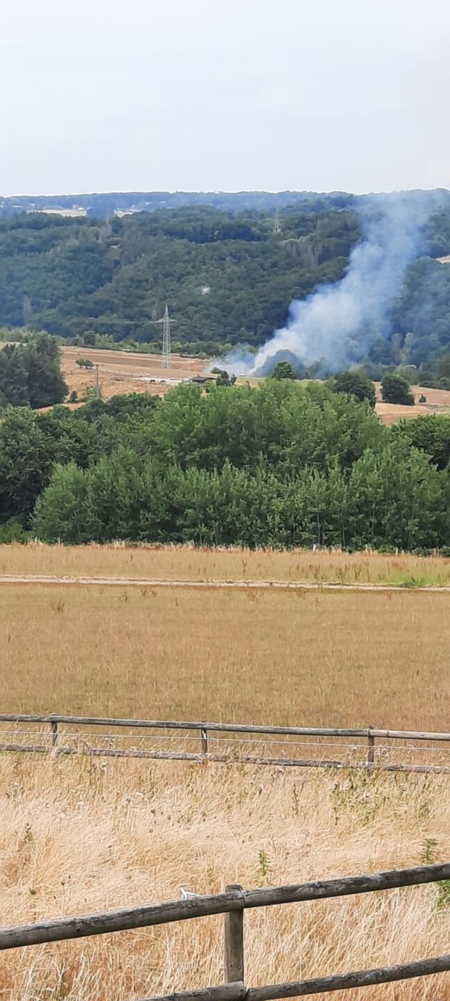 Flächenbrand groß 4 feuerwehr vettelschoß, feuerwehr vettelschoss, vettelschoß, vettelschoss, feuerwehr, ffv, flächenbrand dinkelbach, flächenbrand, flächenbrand kreis neuwied, flächenbrand feuerwehr vettelschoß, einsatz, brand, feuer, fläche, hitze, hitzewelle, vg linz am rhein, vg linz, einheit, löscheinheit, alarm,brandeinsatz, 04.08.2022, flächenbrand neustadt, news feuerwehr vettelschoß, news vettelschoß,