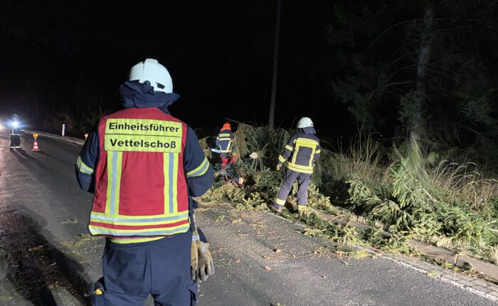 umgestürzter Baum, Unwetter 17.02.2022, Vettelschoß, Feuerwehr