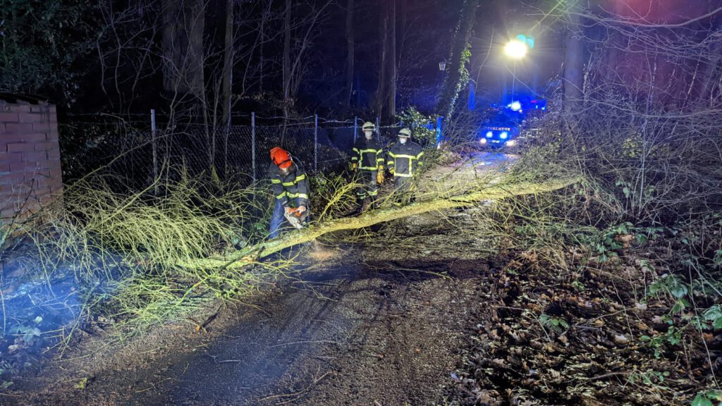 Baum in Stromleitung 3 Baum in Stromleitung, Feuerwehr Vettelschoß, Einsatz
