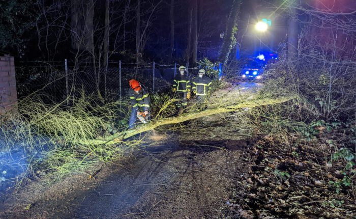 Baum in Stromleitung, Feuerwehr Vettelschoß, Einsatz