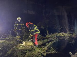 umgestürzter Baum, Unwetter 17.02.2022, Vettelschoß, Feuerwehr