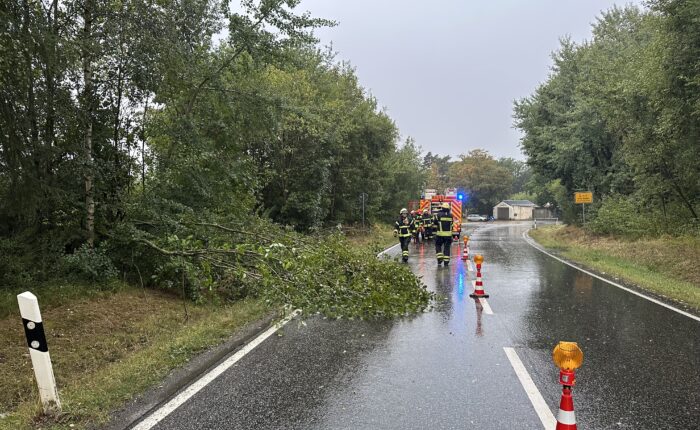 Unwetter - Baum auf Fahrbahn Kretzhaus Vettelschoß Feuerwehr