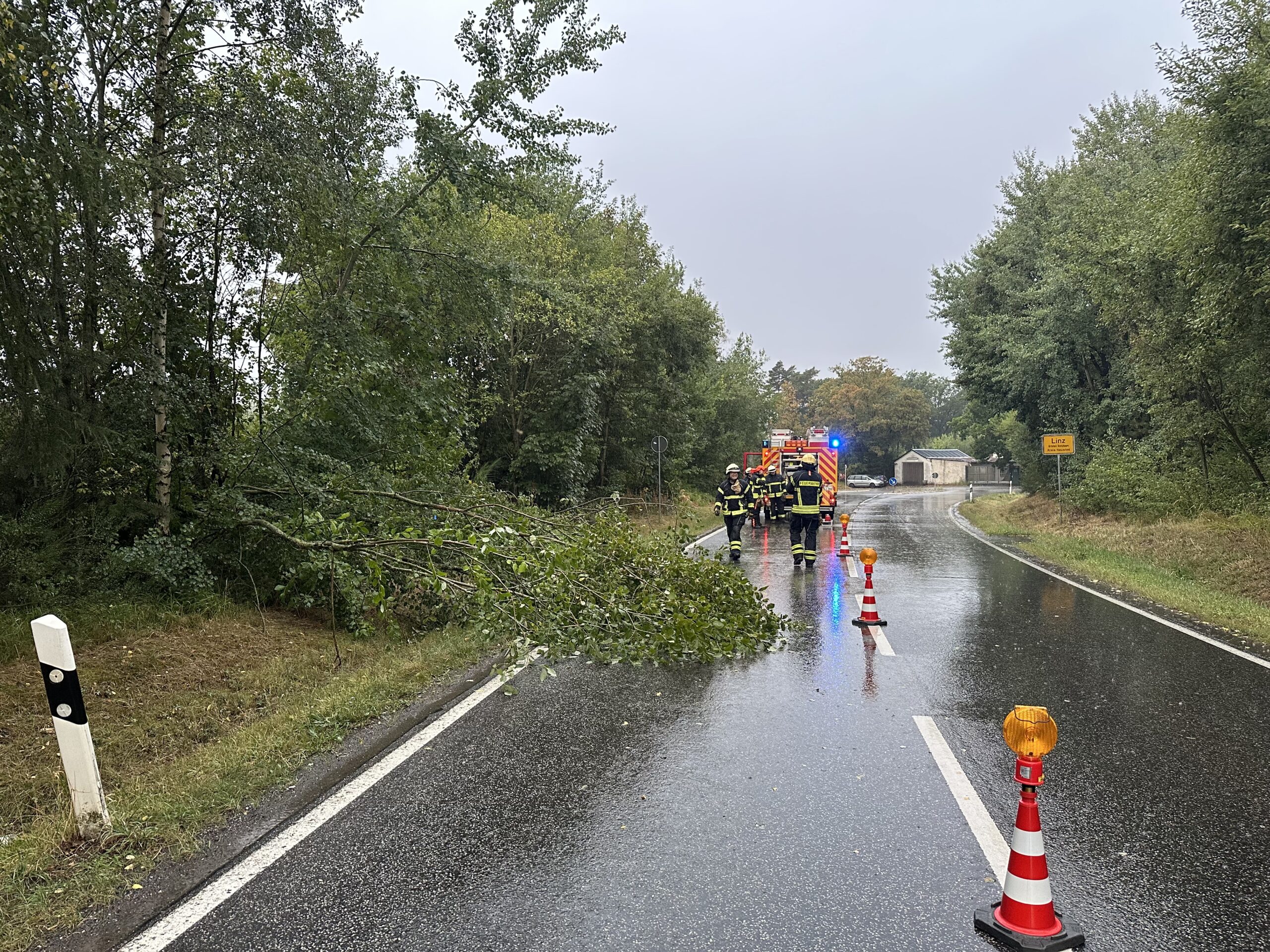 Unwetter - Baum auf Fahrbahn 1 Unwetter - Baum auf Fahrbahn Kretzhaus Vettelschoß Feuerwehr