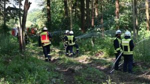 Waldbrandübung Landkreis Neuwied, 08.06.2024, Feuerwehr, Feuerwehr Vettelschoß, Waldbrand, Waldbrandübung