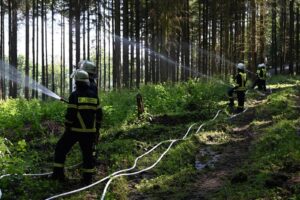 Waldbrandübung Landkreis Neuwied, Waldbrandübung Landkreis Neuwied, 08.06.2024, Feuerwehr, Feuerwehr Vettelschoß, Waldbrand, Waldbrandübung