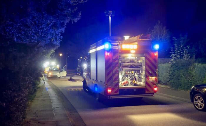 Ölspur, Willscheid, 16.09.2024, Vettelschoß, Einsatz in Vettelschoß, Feuerwehr Vettelschoß, Feuerwehreinsatz in Vettelschoß, News, Nachrichten, Einsatz, VG Linz am Rhein, Linz, Linz am Rhein, Feuerwehr VG Linz, Ölspur nach Wildunfall, Unfall, Verkehrsunfall