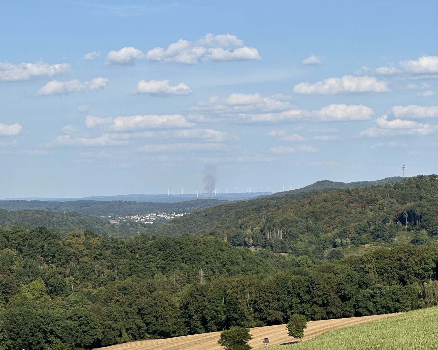 Vegetationsbrand groß (Überörtlich) 3 IMG 9855