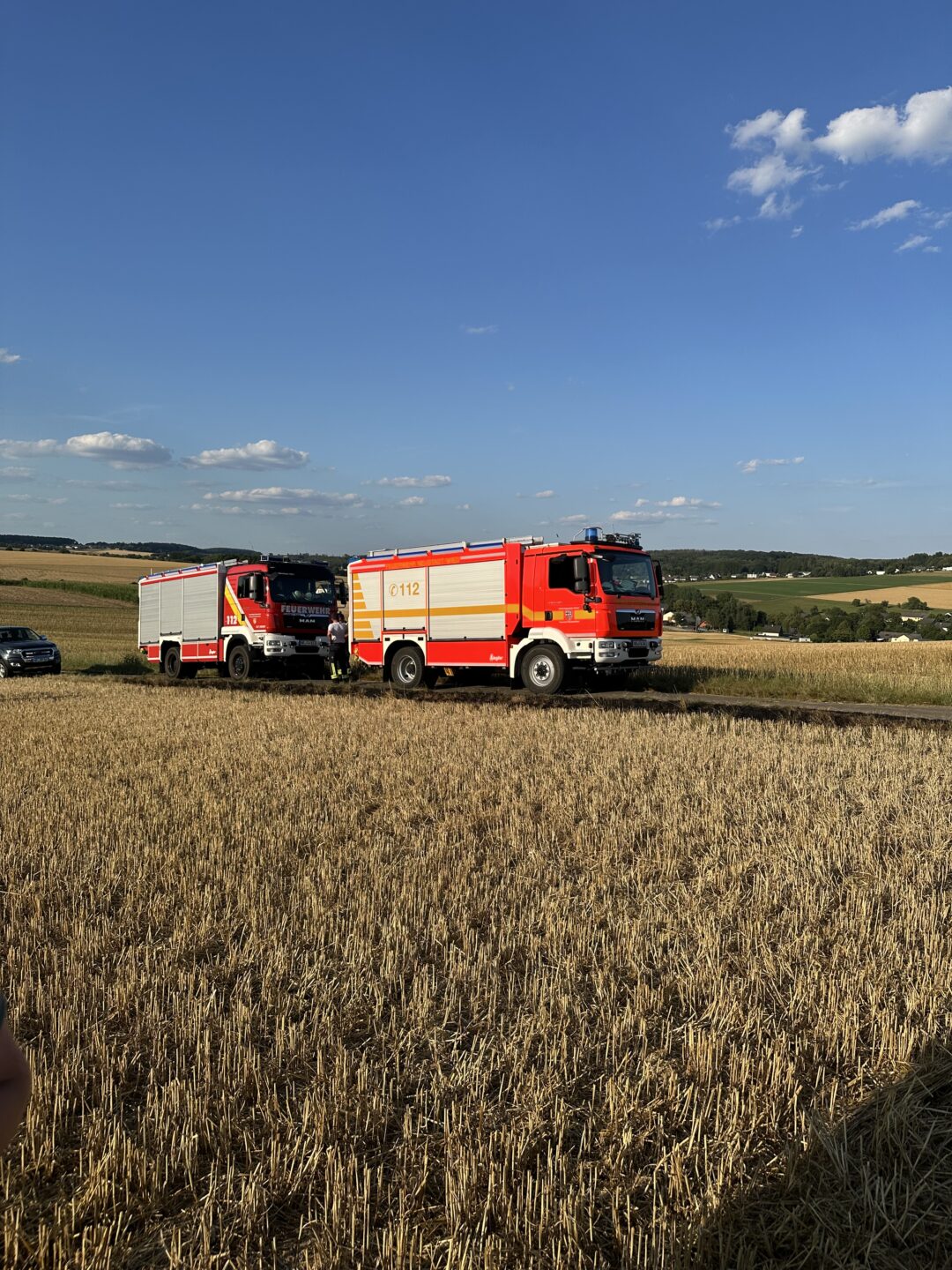 Vegetationsbrand groß (Überörtlich) 4 IMG 9864