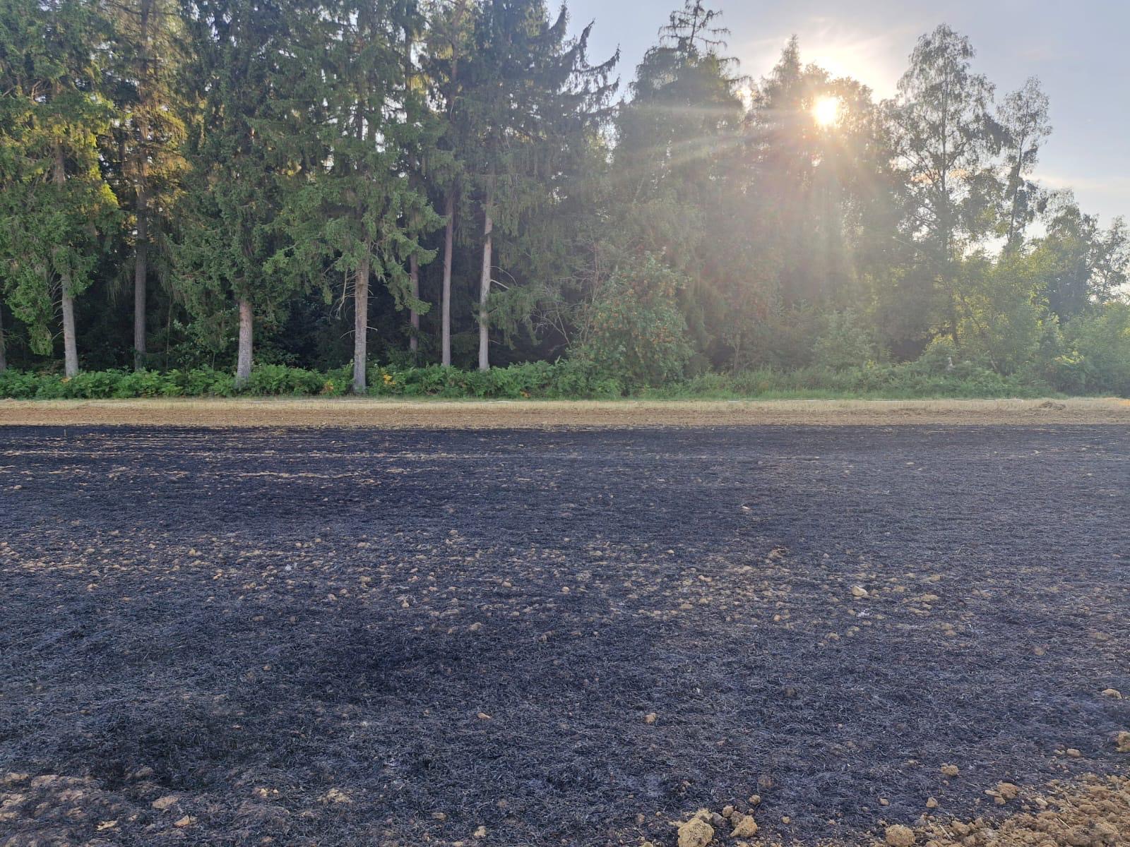Vegetationsbrand groß (Überörtlich) 10 a21308d7 61ad 4be6 820c 0cbe7458ab81