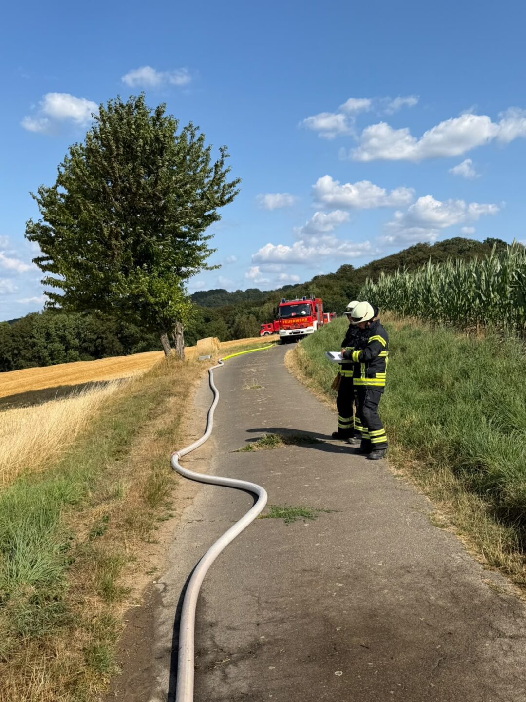 Fahrzeugbrand außerorts 11 b1163da9 e4d0 4ee1 ac44 6943dbbb5fbb