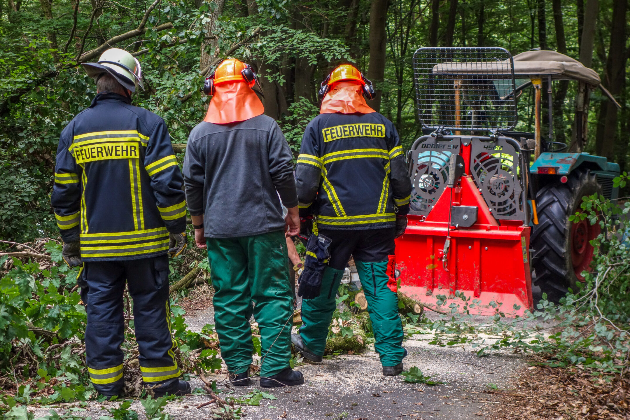 Baum auf Dach 6 wald fw